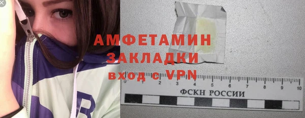 дмт Ельня