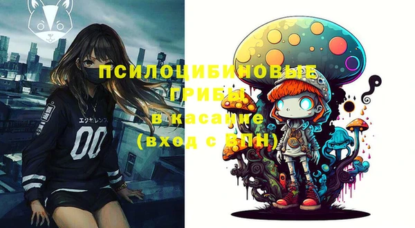 2c-b Заволжск