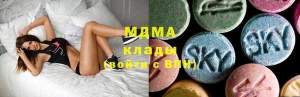 гидра Елабуга